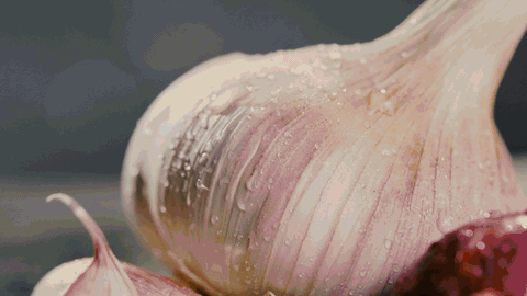 Close-up of a garlic bulb